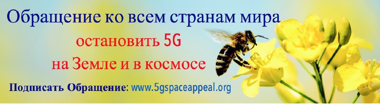 5g обращение